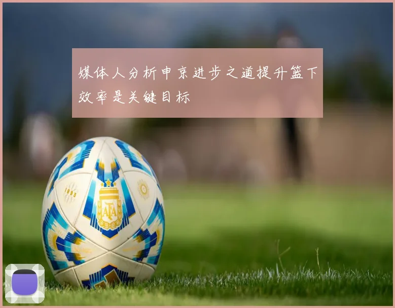 媒体人分析申京进步之道提升篮下效率是关键目标